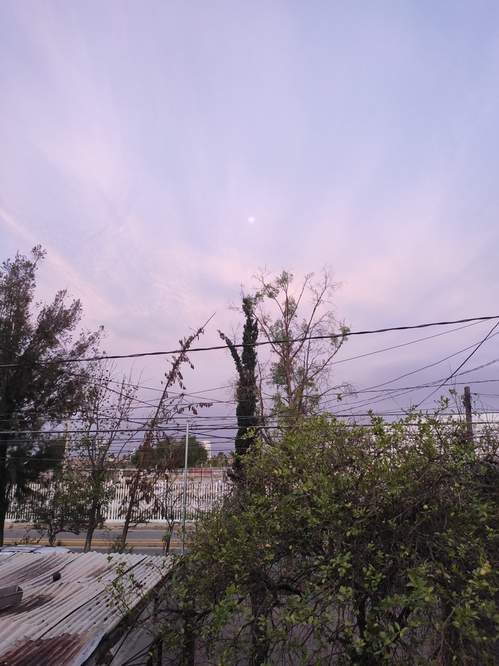 Cielo morado