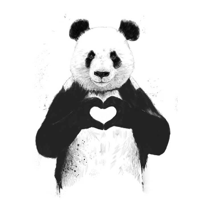 panda