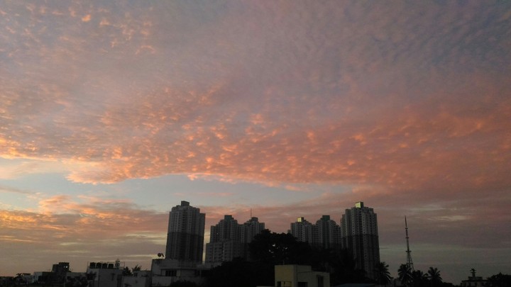 The Sunrise