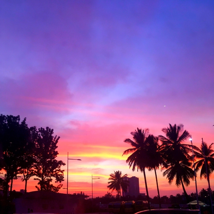 Twilight