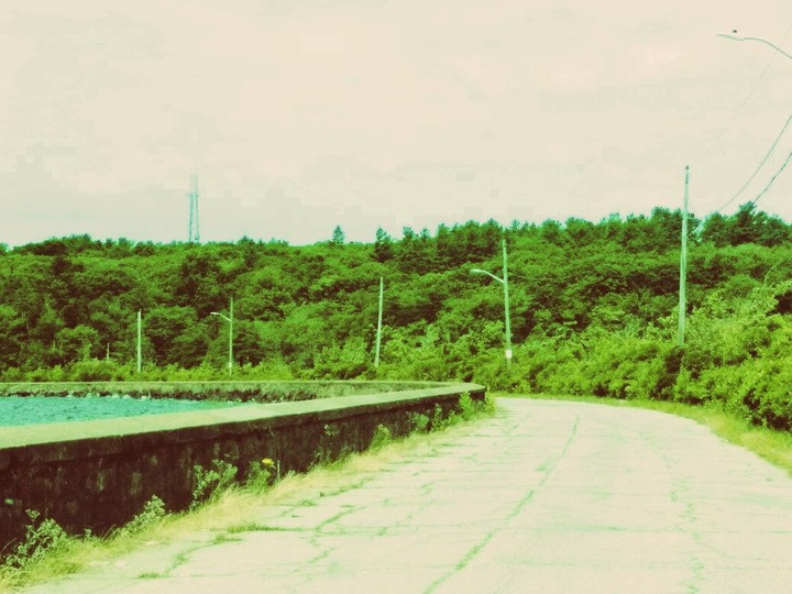 Abandoned Roadway