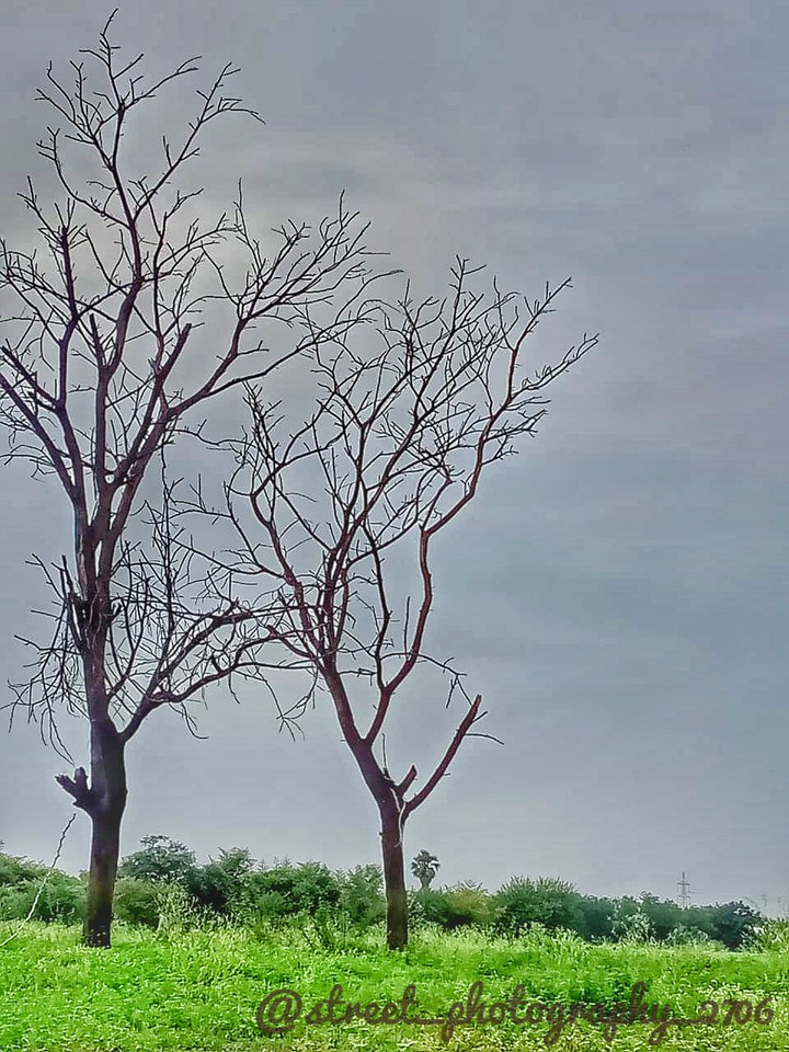 nature love❤