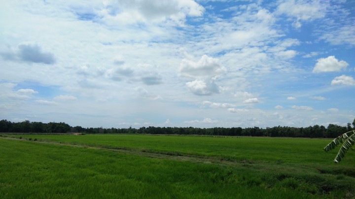 Sky Vs Field