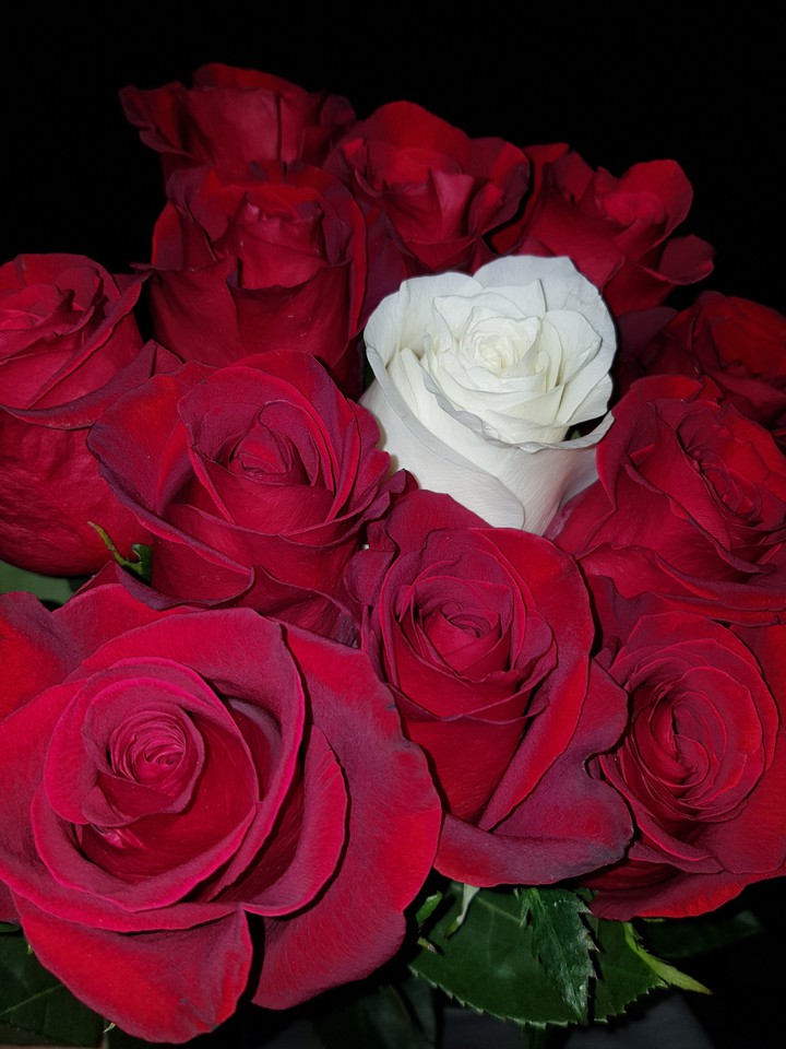 roses