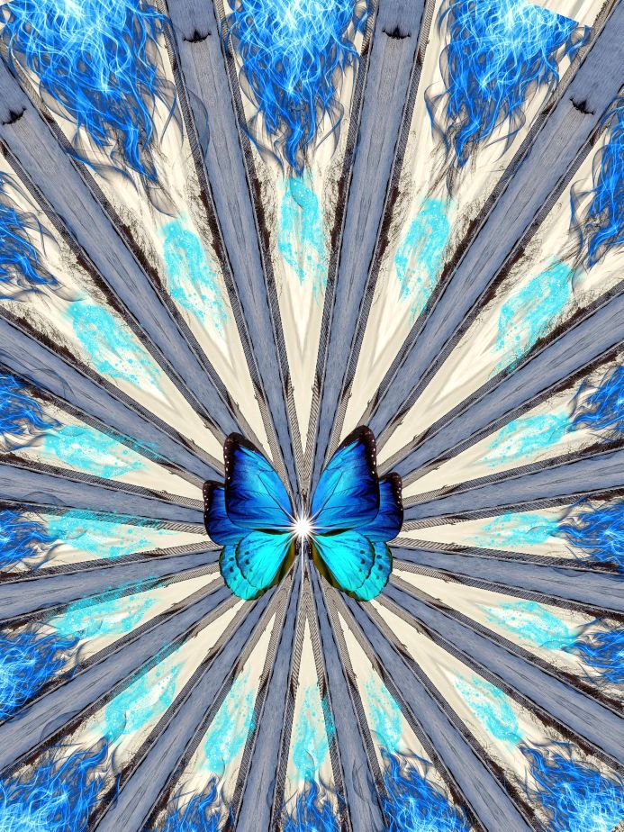 ❤️ Blauer Schmetterling ❤️