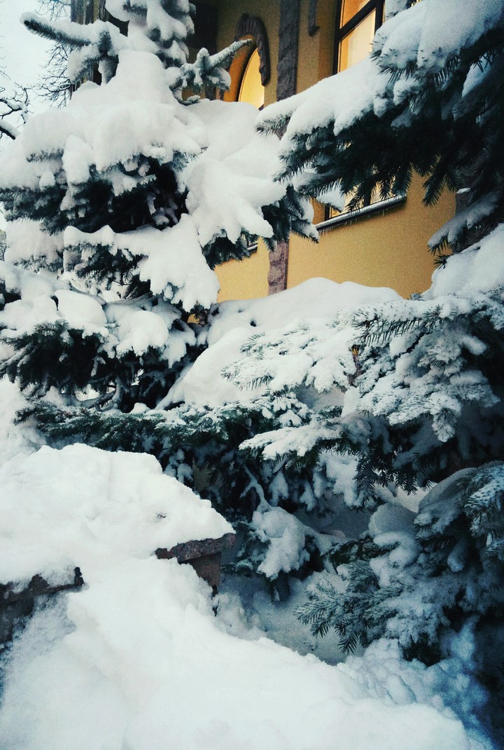 winter in Kiev