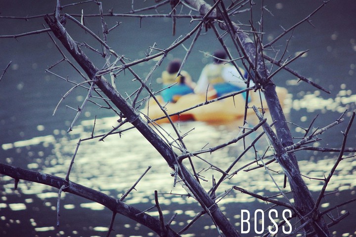 BOSS