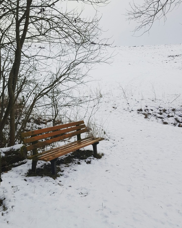 Winter-Wonderland