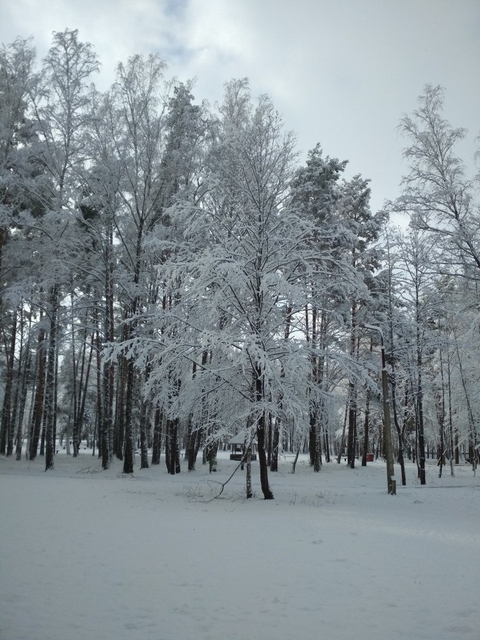 Winter