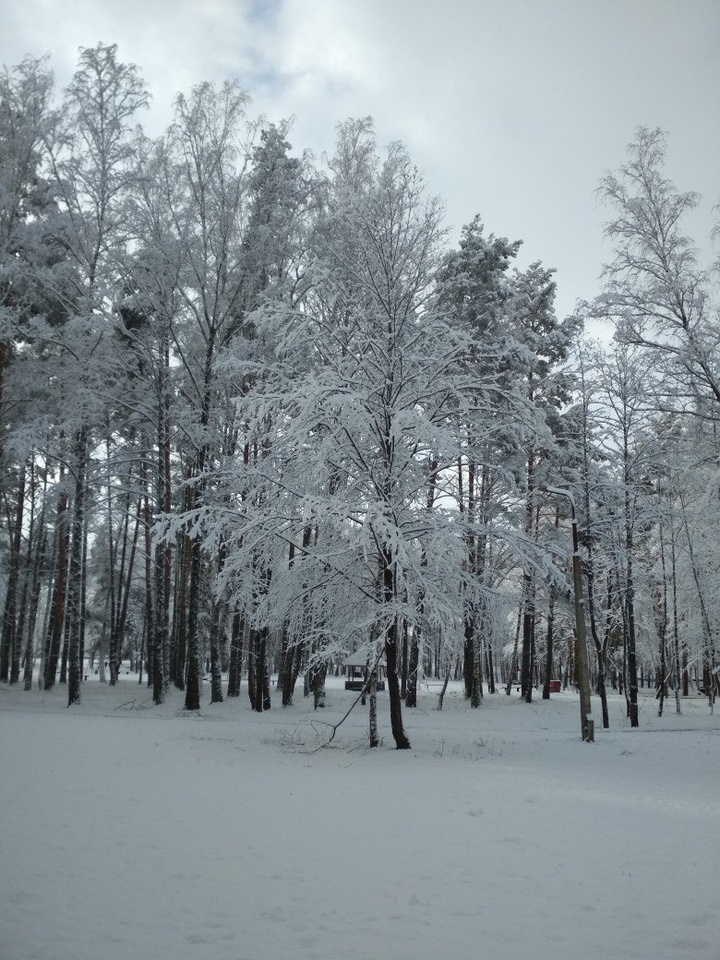 Winter