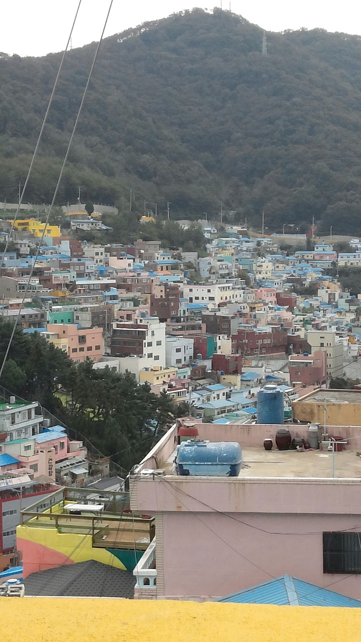 부산동네