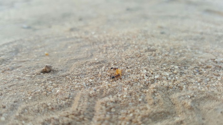 beautiful click