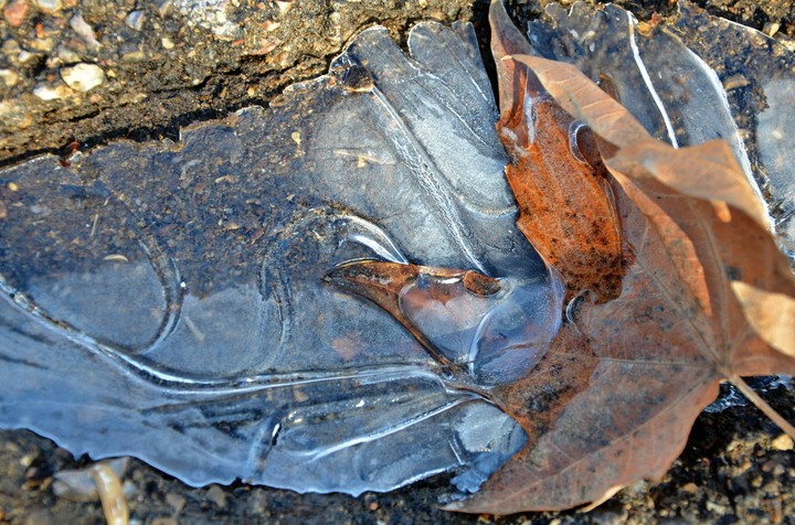 winter ice