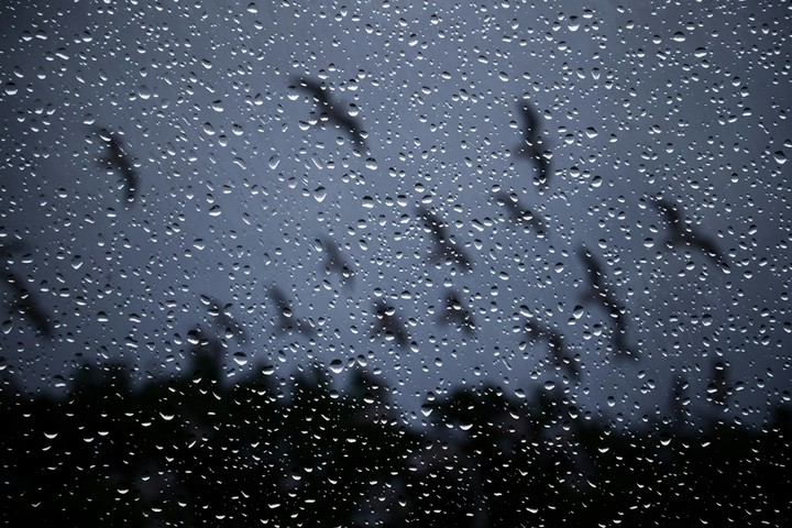 rain