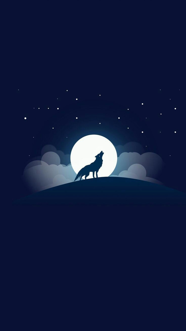wolf & moon