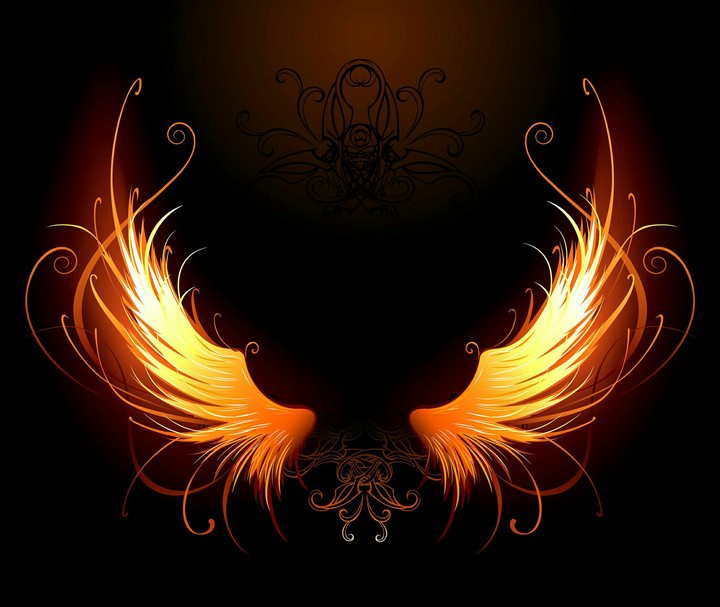 Fire wings
