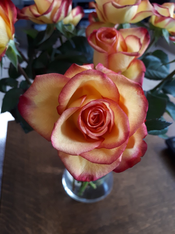 Pretty roses