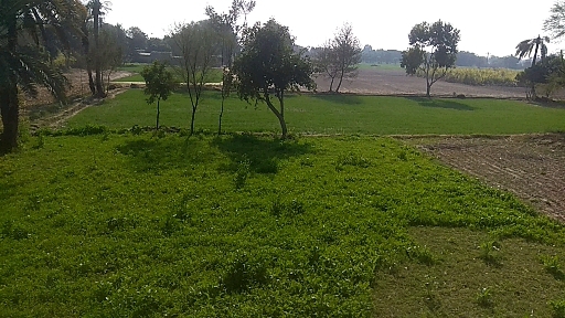 village Life