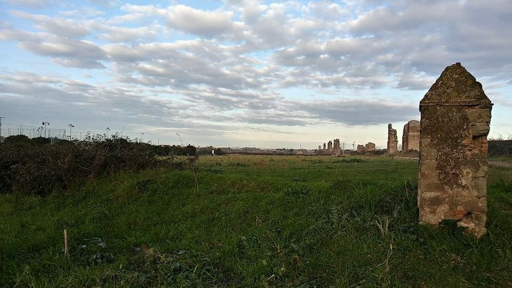 A normal landscape