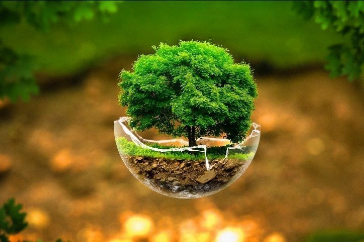 nature