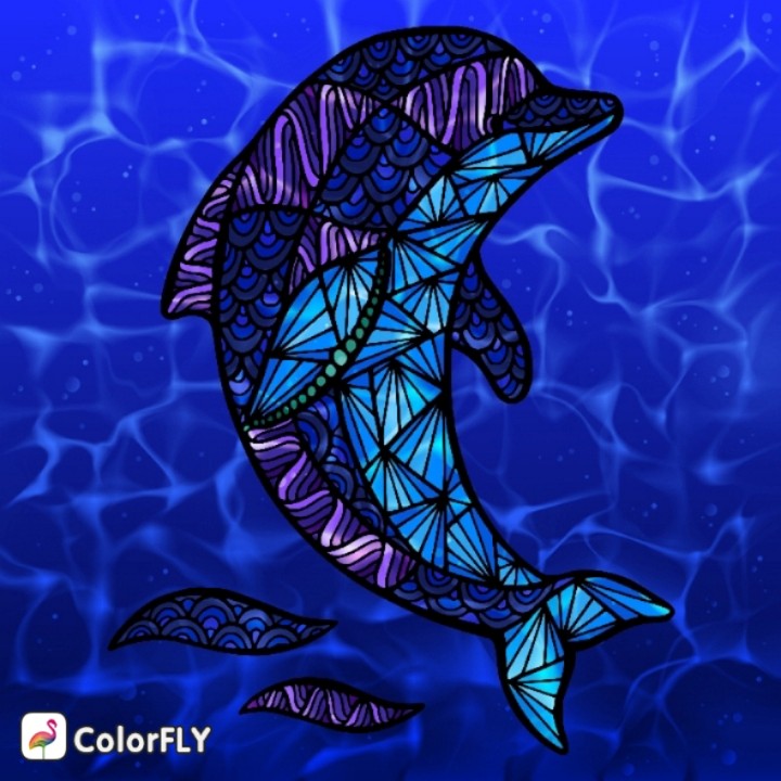 Dolphin