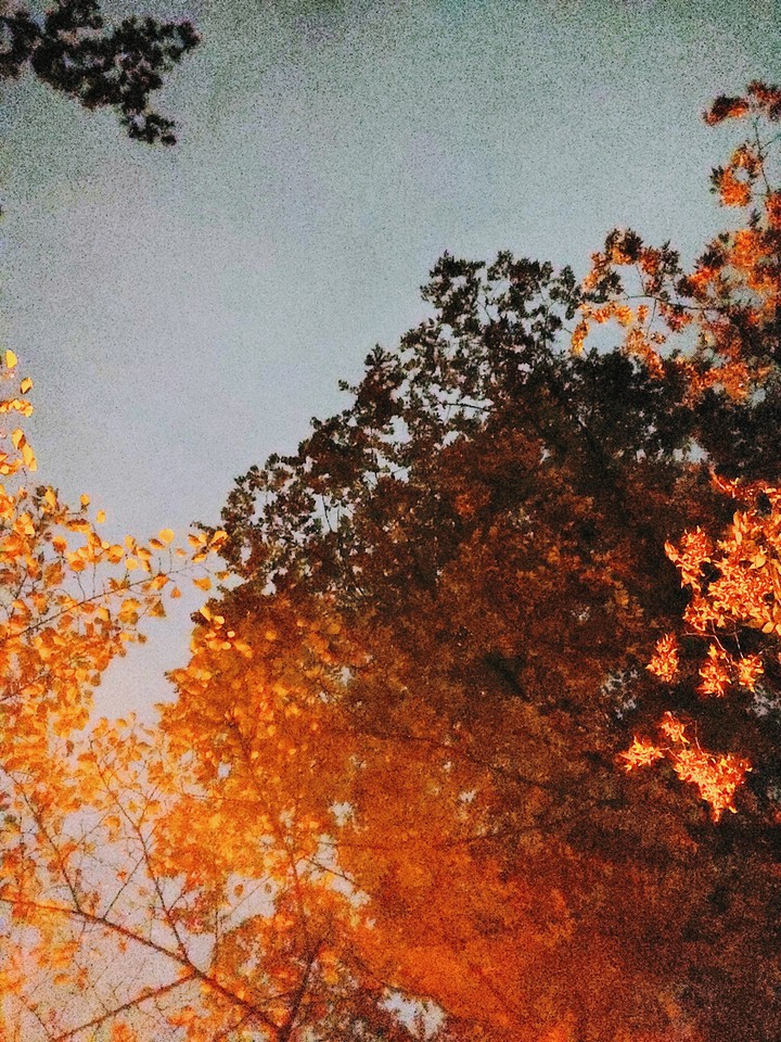 날이 춥네요