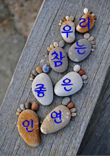 인연 여기오는 모든분들이 나에겐 참 좋은 인연