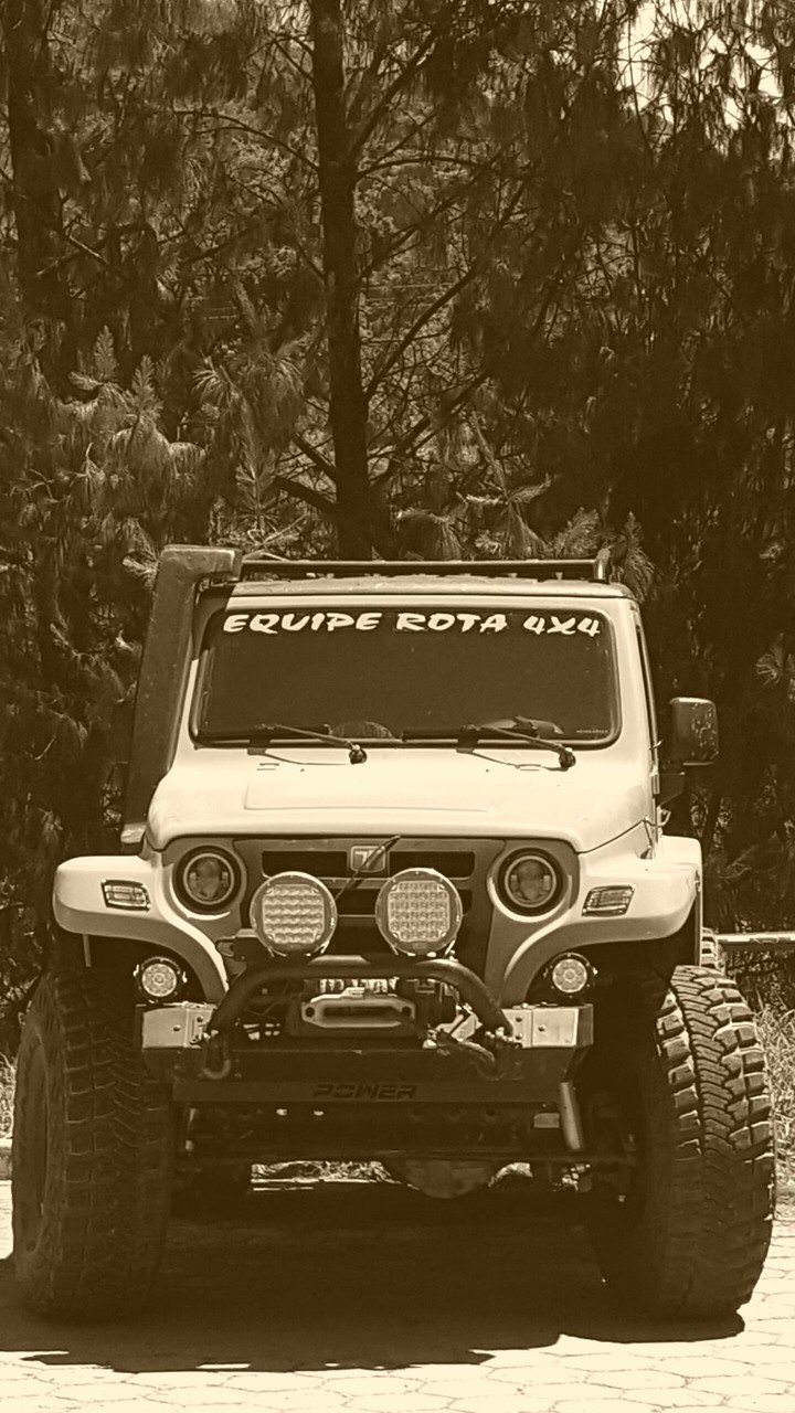 Not a Jeep. Brazilian Troller