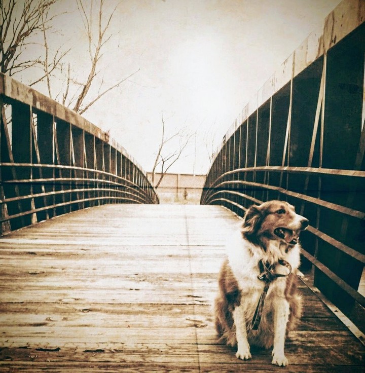 connections