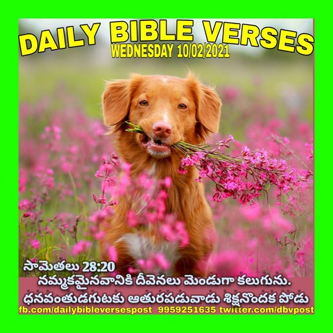 Praise The Lord. Amen ?