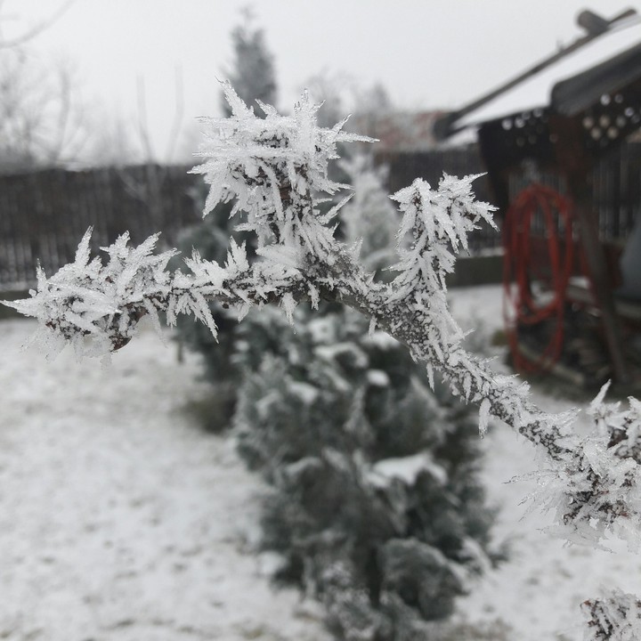 Winter view
