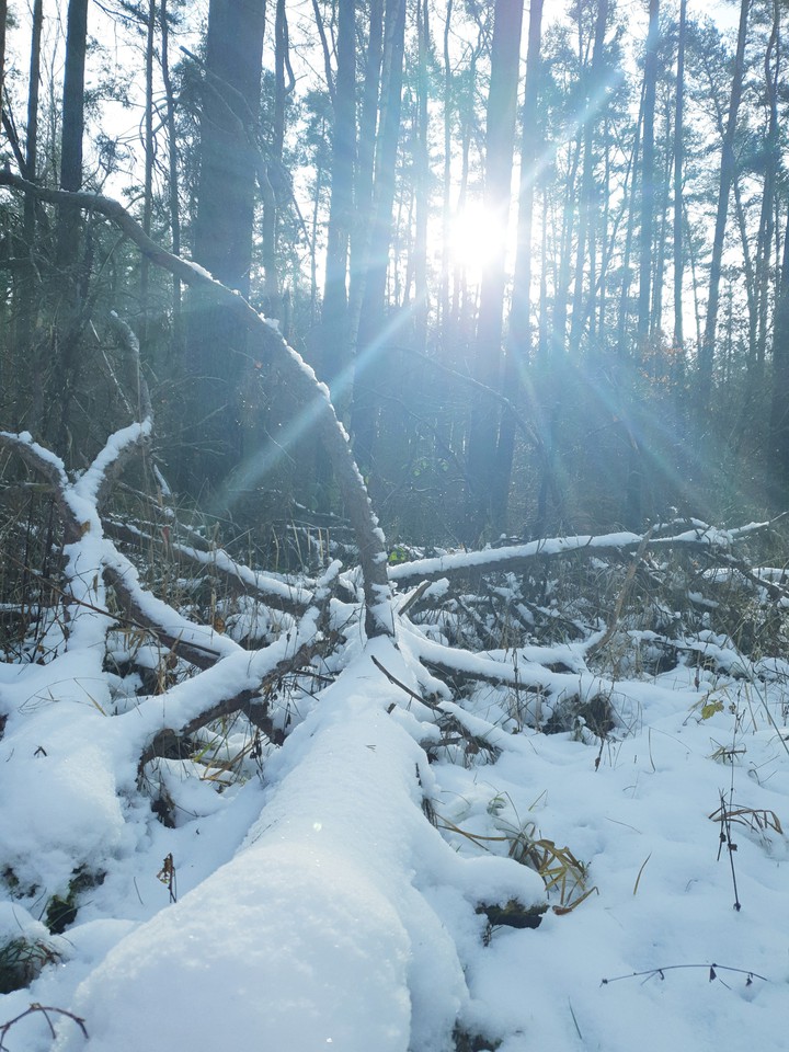 Winter