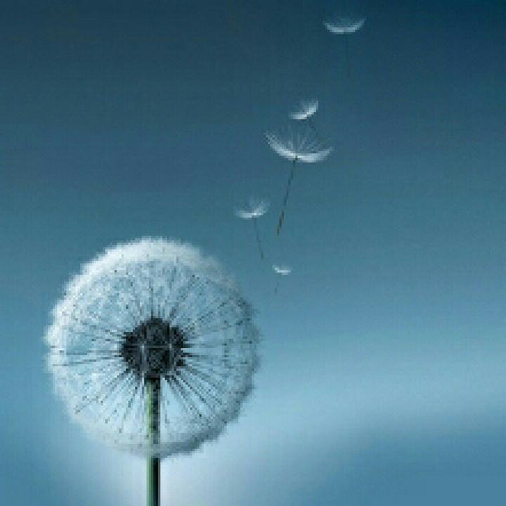 Atmosphere