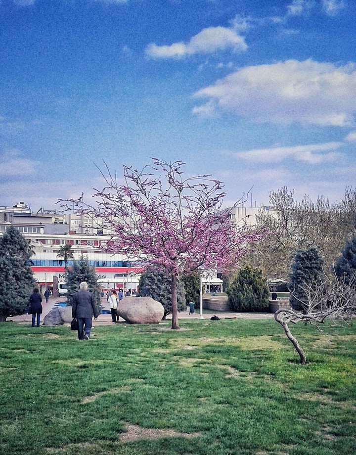 #blue #pink #green