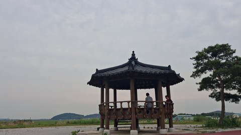 Pavilion, Column duvar kağıtları