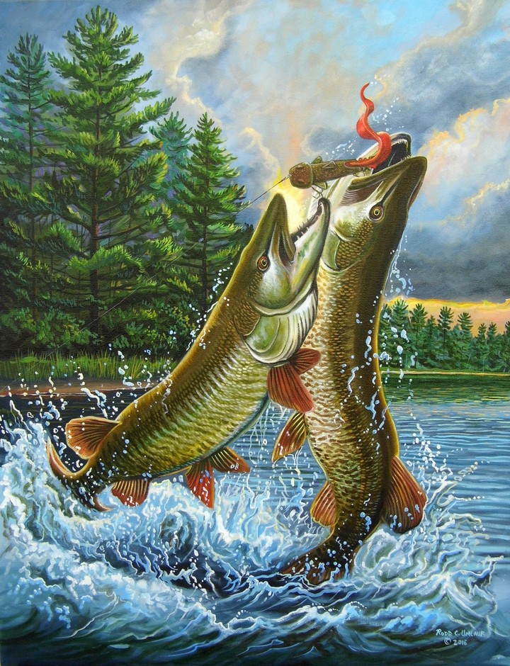 Muskie
