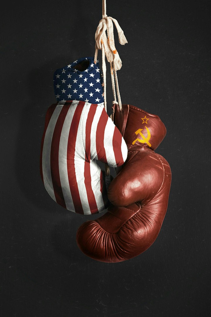 USA USSR Boxing Gloves