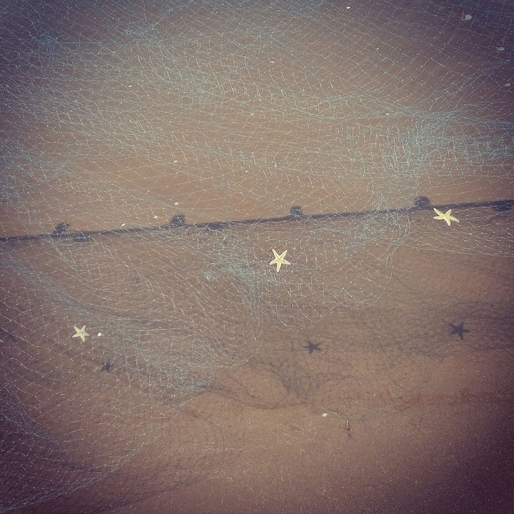 Twinkle Twinkle little star