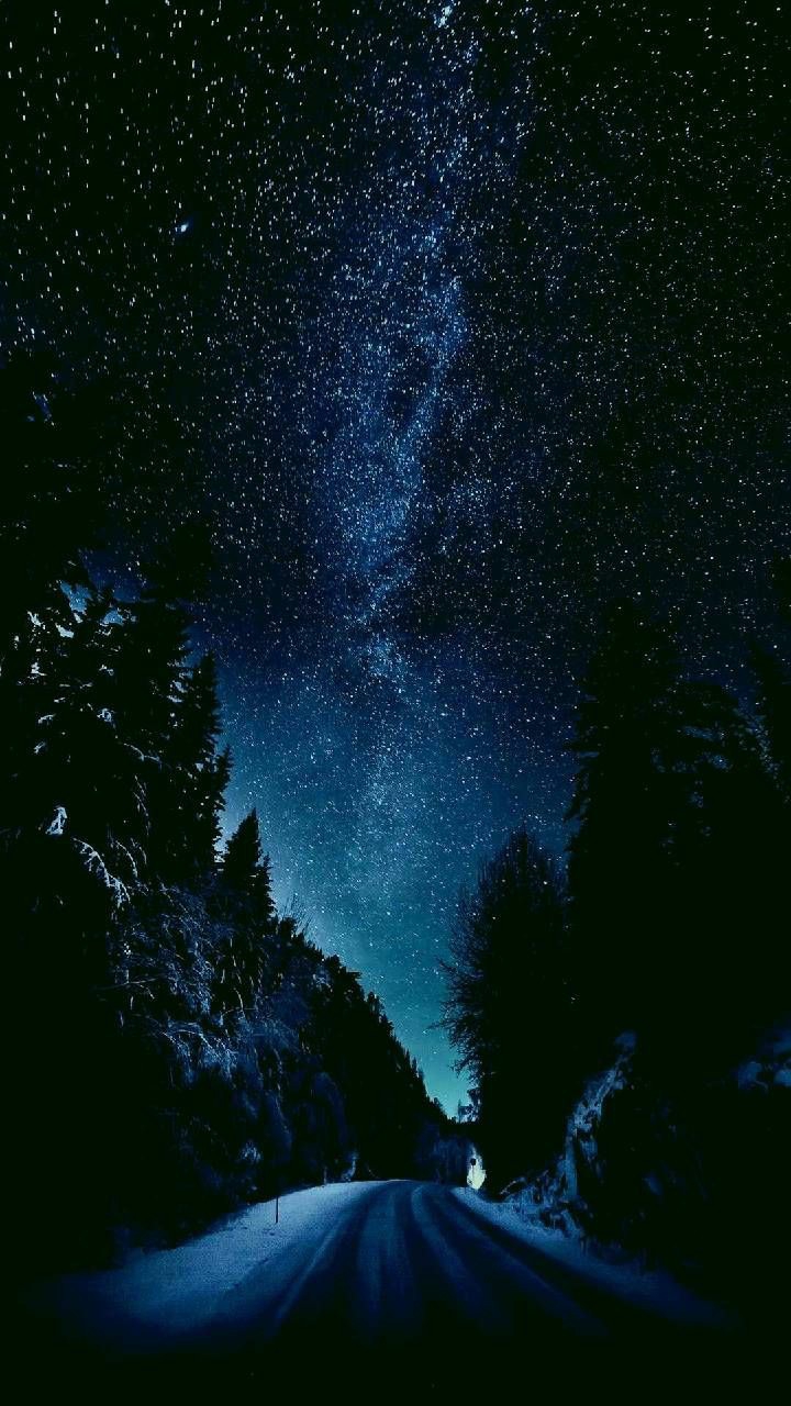 night