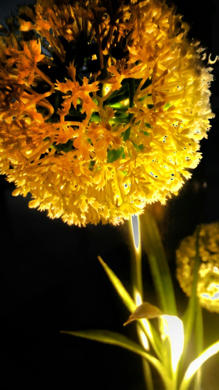 glowing