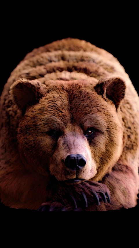 Animali
