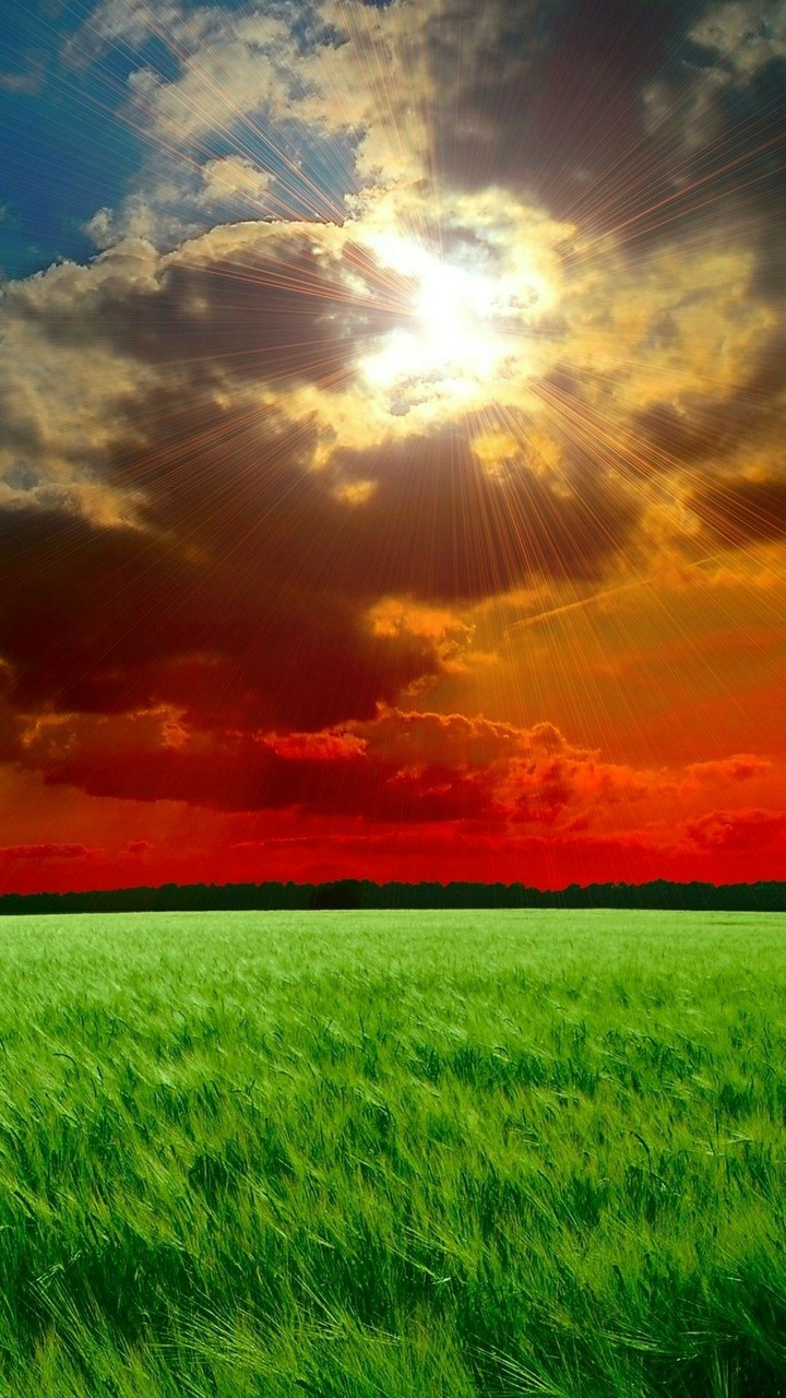 Nature