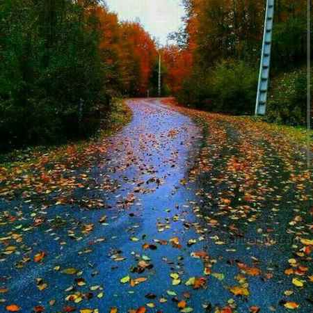 #road