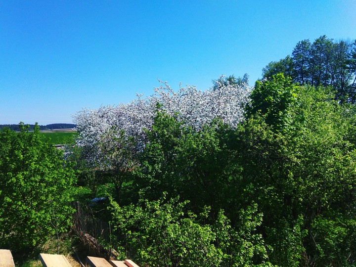 Beautiful view #Alina