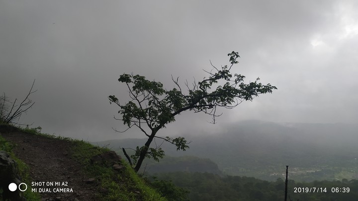 Nature