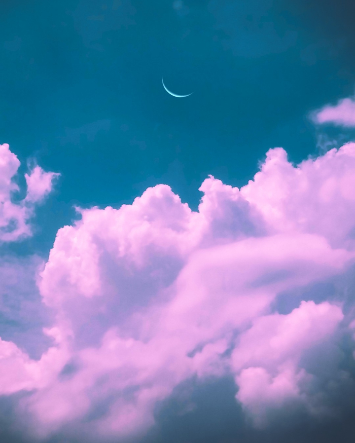 Daydream