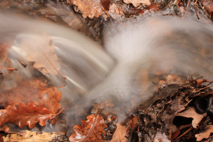 Natur, Wasser, Wunder