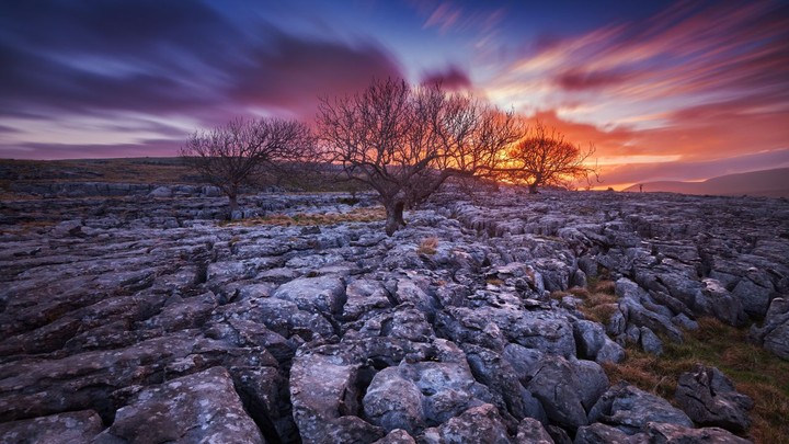 dry nature