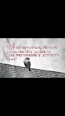 ey insan