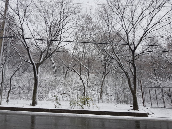 Korea